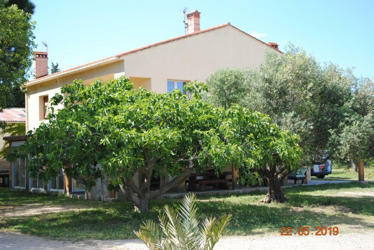 Villa Mas De La Vignassa Le Soler Exterior foto